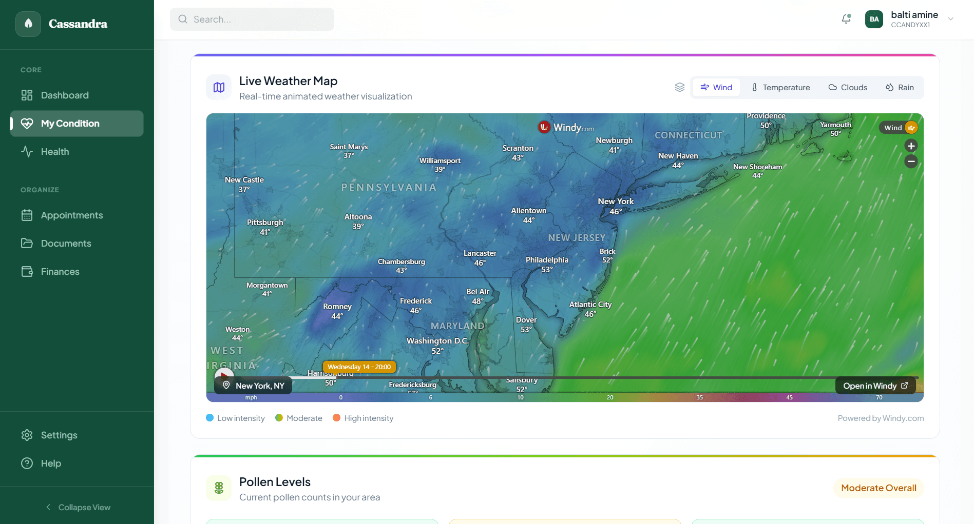 Live Weather & Environmental Tracking