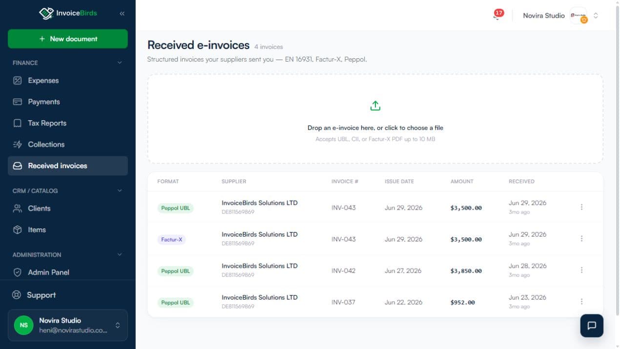 InvoiceBirds received e-invoices workspace with supplier records and structured format support